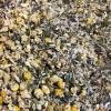 Protection Spell Mix - Image 3